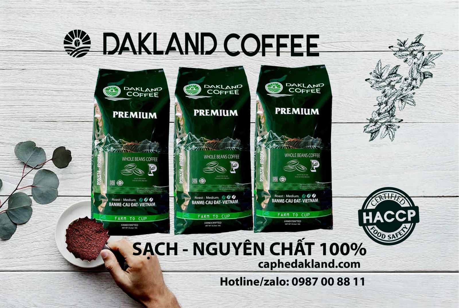 ca-phe-sach-pha-phin